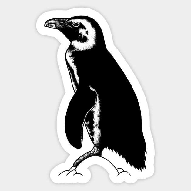 African penguin - ink illustration Sticker by lorendowding